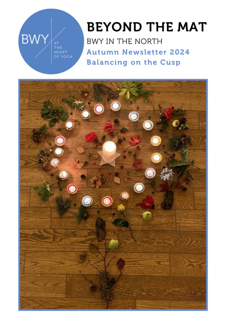 bwy-north-newsletter-autumn-2024-fp2