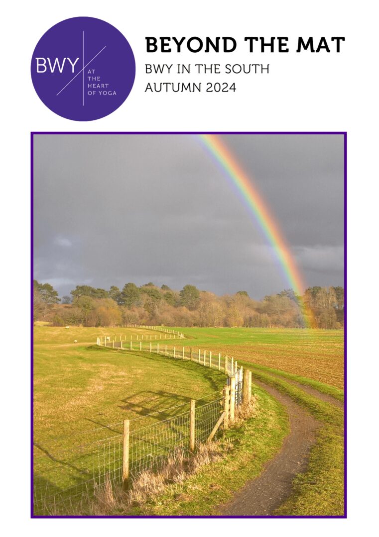 south-autumn-2024-newsletter-fp-2