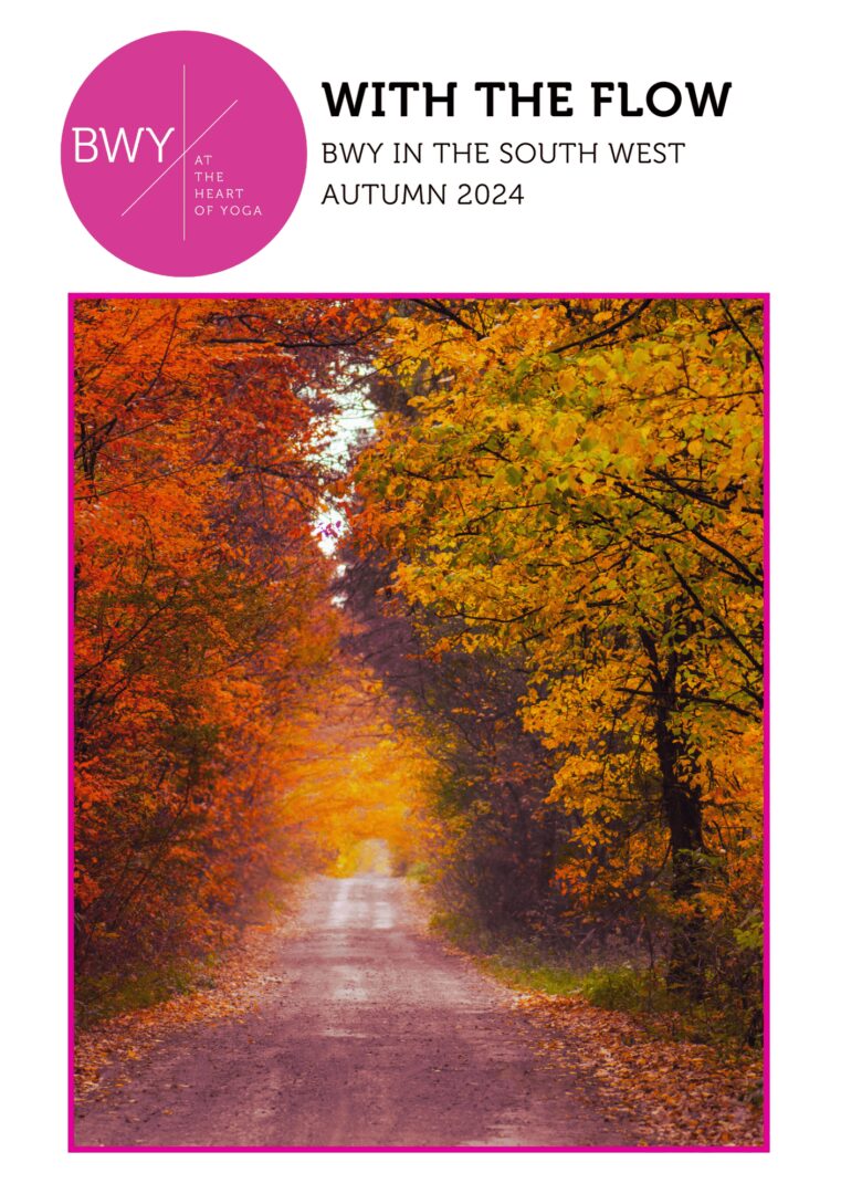 southwest-newsletter-autumn-2024-fp2