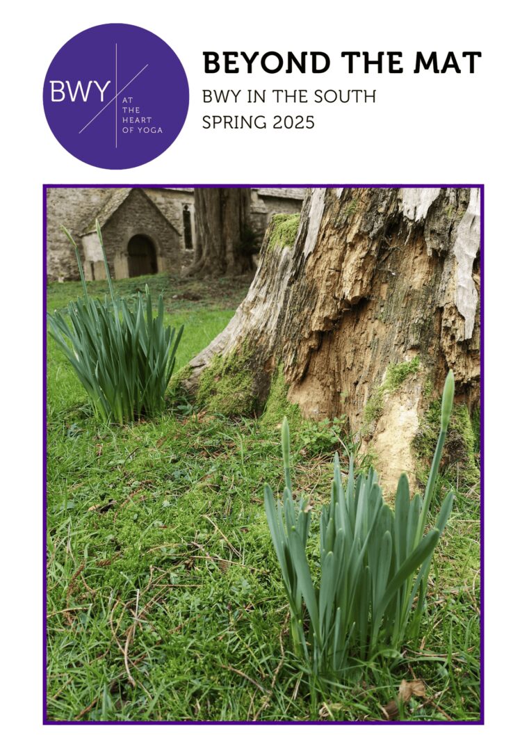 south-spring-2025-newsletter-front-cover