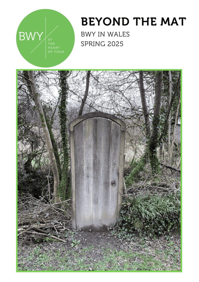 wales-newsletter-spring-2025-front-page