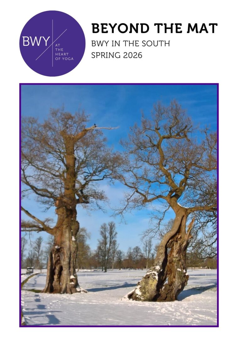 south-newsletter-spring-2026-fc