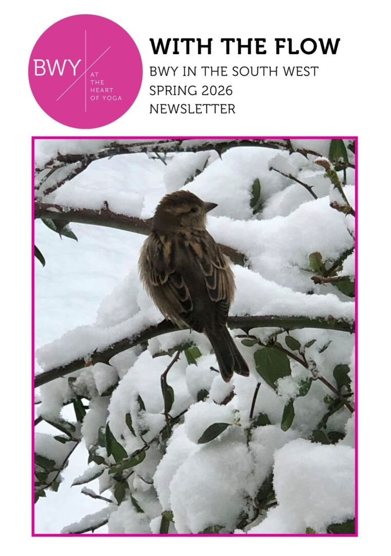 southwest-newsletter-spring-2026-fc