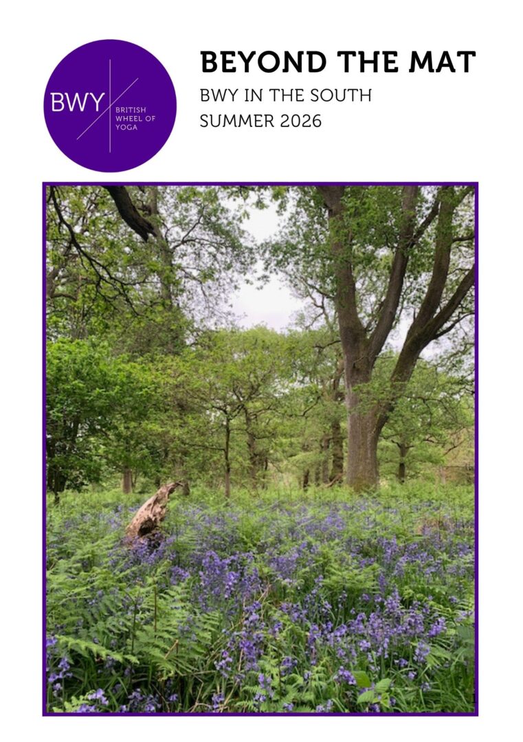 south-newsletter-summer-2026-fc