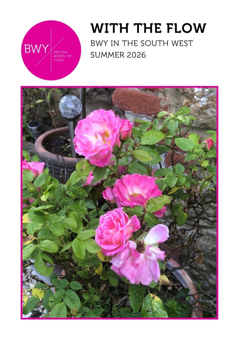 southwest-newsletter-summer-2026-fc
